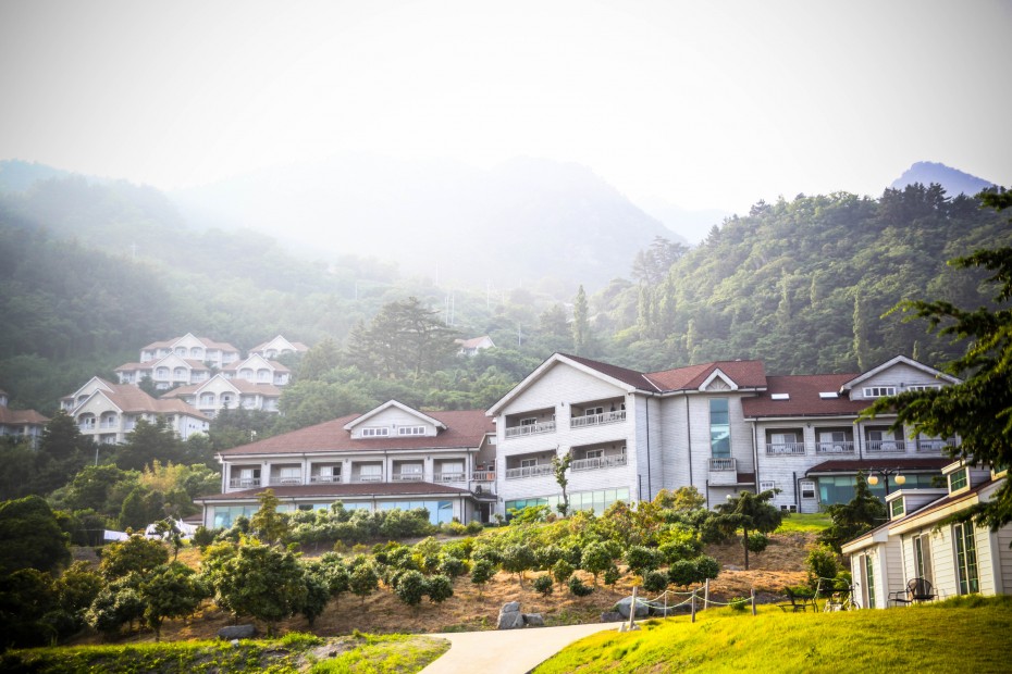 3fbf8bf0810ece9da66e05c4d756cb51_1528681