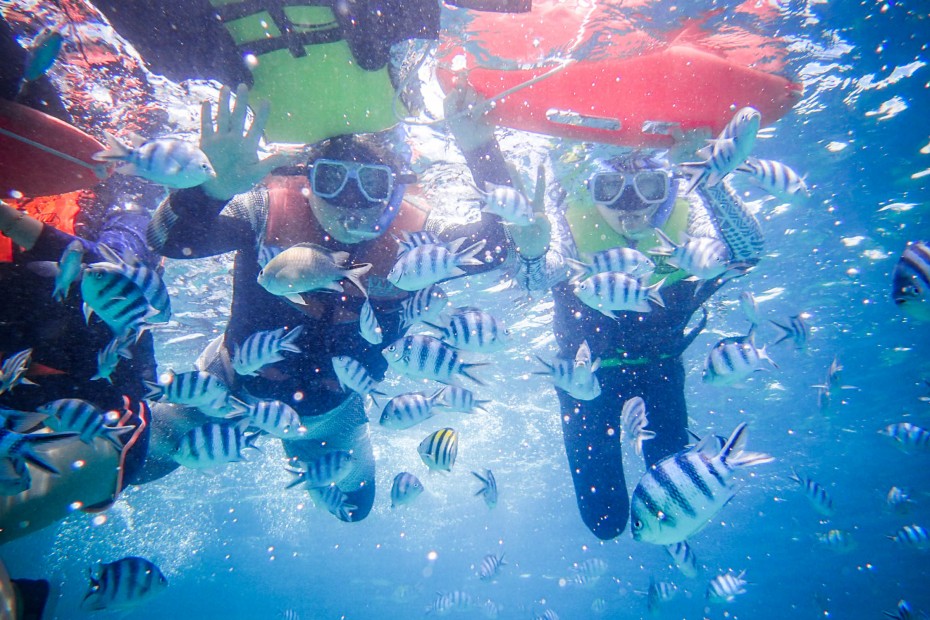 8370f699882d6a9f9486fb898fe229b4_1557285