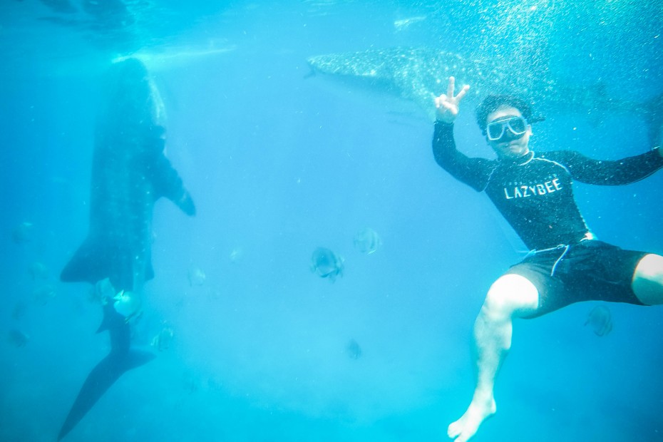 8370f699882d6a9f9486fb898fe229b4_1557285