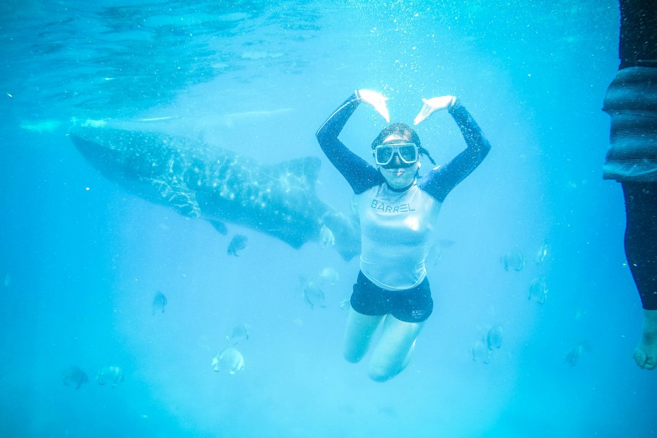 8370f699882d6a9f9486fb898fe229b4_1557285