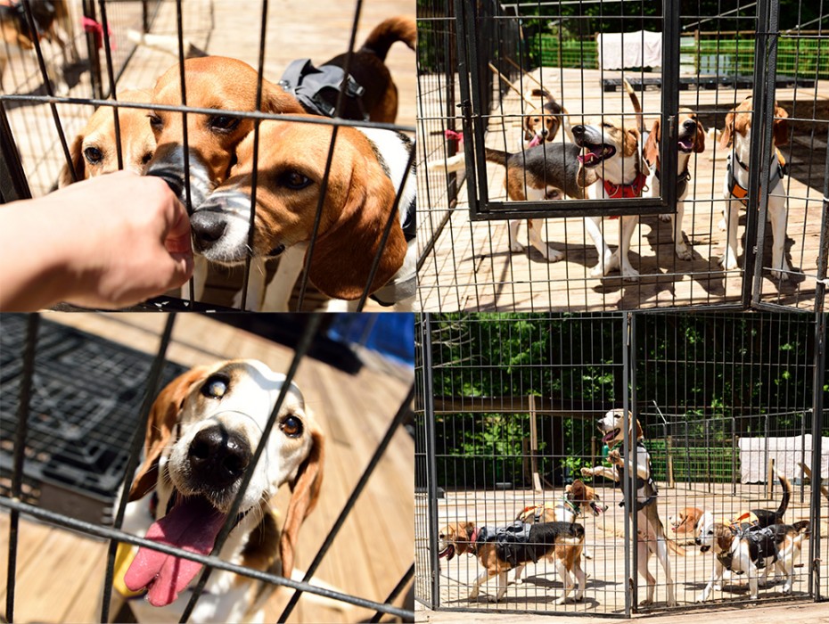 8e3042ff723c7b3a690ff2f1003dd668_1719470