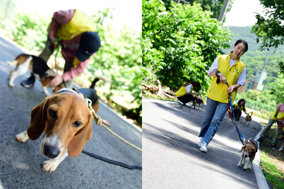 8e3042ff723c7b3a690ff2f1003dd668_1719470