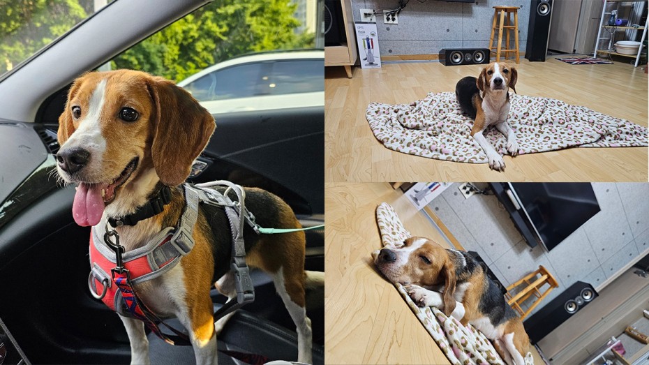 8e3042ff723c7b3a690ff2f1003dd668_1719470