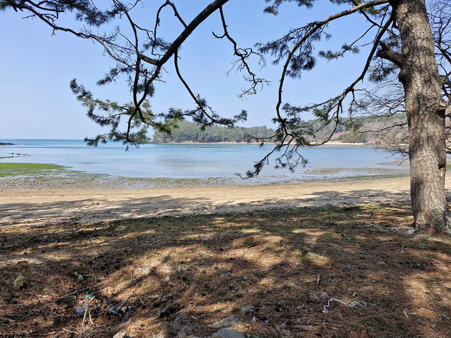 353901bb96d90608e6de153dcf398c8b_1755668