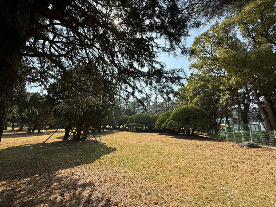 353901bb96d90608e6de153dcf398c8b_1755668